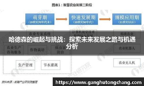 哈德森的崛起与挑战：探索未来发展之路与机遇分析